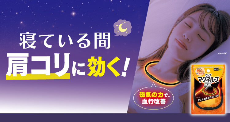 ピップマグネループ