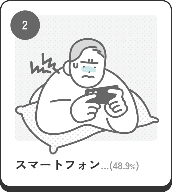 2位 スマートフォン…（48.9%）