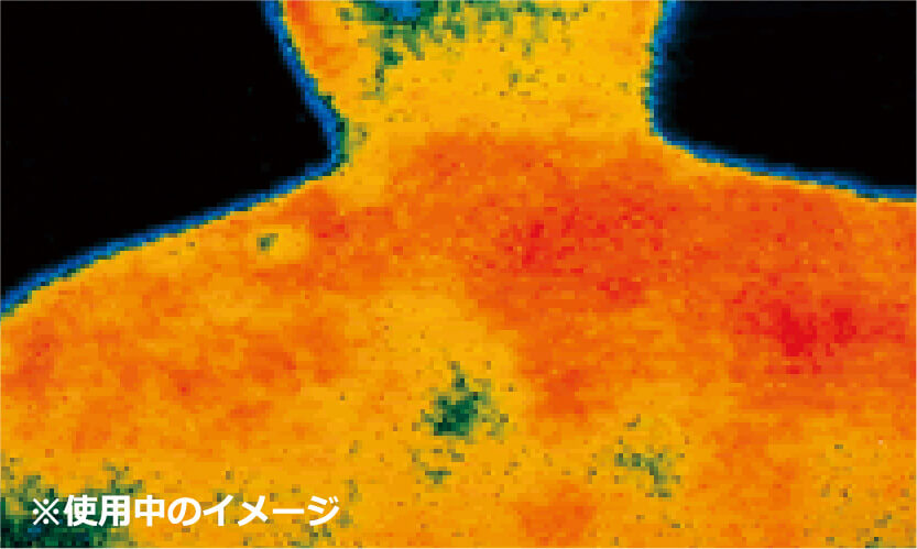 使用中のイメージ
