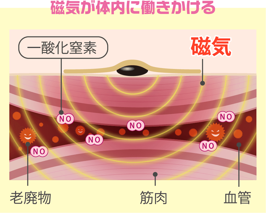 磁気が体内に働きかける