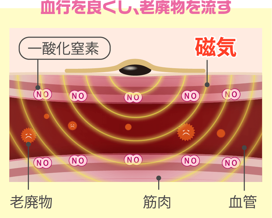 血行を良くし、老廃物を流す