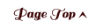 PageTop