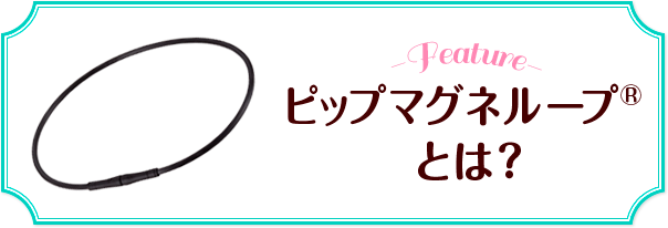 ピップマグネループとは