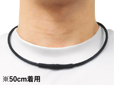 ※50cm着用