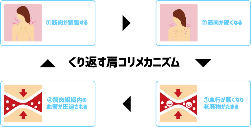 くり返す肩コリメカニズム