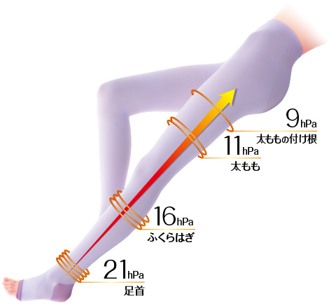 足首 21hPa/ふくらはぎ 16hPa/太もも 11hPa/太ももの付け根 9hPa/