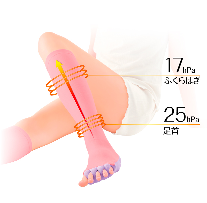 ふくらはぎ 17hPa/足首 25hPa