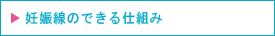 妊娠線のできる仕組み